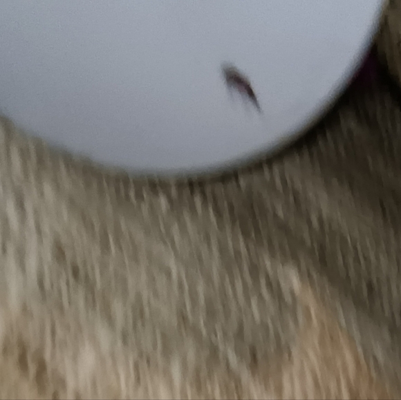 Barbie Dreamtopia Rainbow Hair Unicorn Styling - Picture 3 of 4